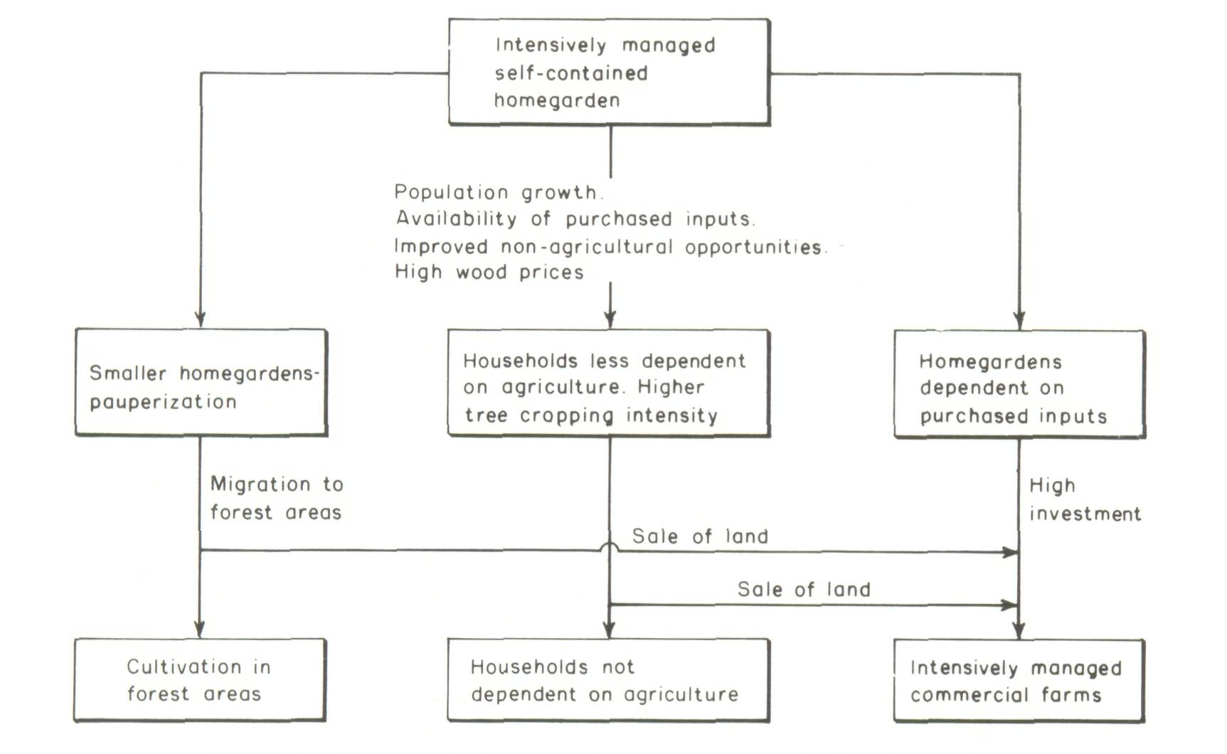 3_Economic considerations in agroforestry